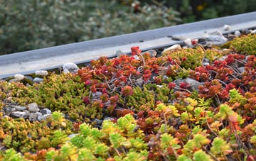 the cost of Ffynnon Gynydd green roof installation