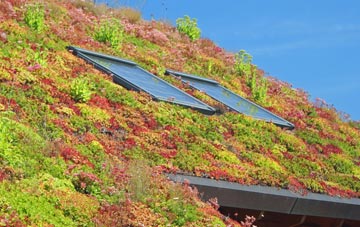 Ffynnon Gynydd living roof systems